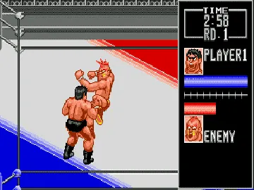 Wrestle War (Japan) (Beta) screen shot game playing